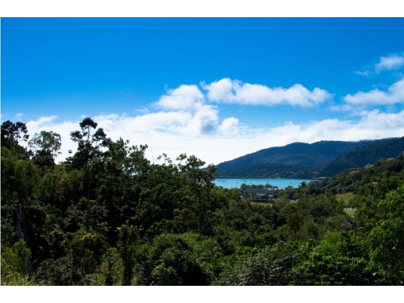 13 Flametree Court, Airlie Beach QLD 4802