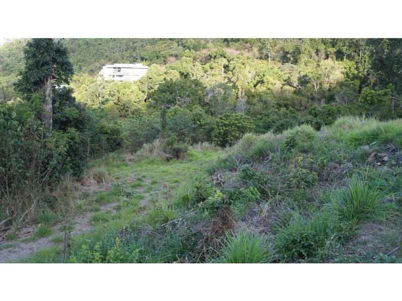 13 Flametree Court, Airlie Beach QLD 4802