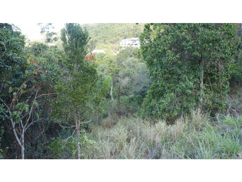 13 Flametree Court, Airlie Beach QLD 4802