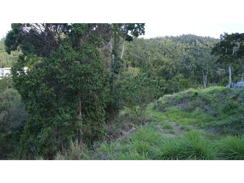 13 Flametree Court, Airlie Beach QLD 4802