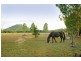 1042 Gregory-Cannonvalley Road, Strathdickie QLD 4800