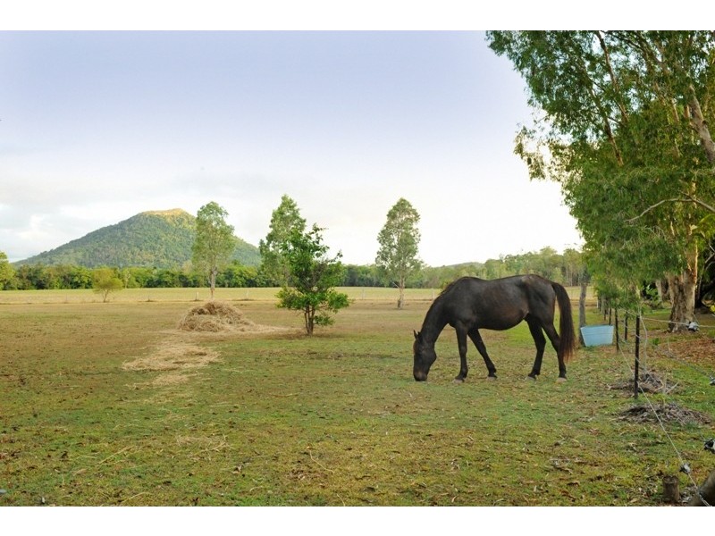 1042 Gregory-Cannonvalley Road, Strathdickie QLD 4800
