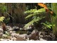 257 Paluma Road, Cannonvale QLD 4802