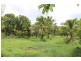 124 Paluma Road, Cannonvale QLD 4802