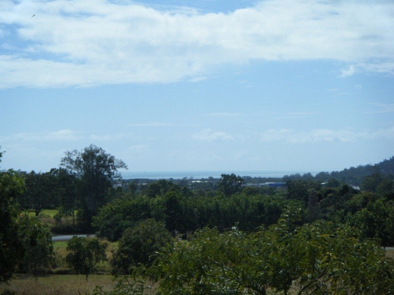 1580 Shute Harbour Road, Cannon Valley QLD 4800