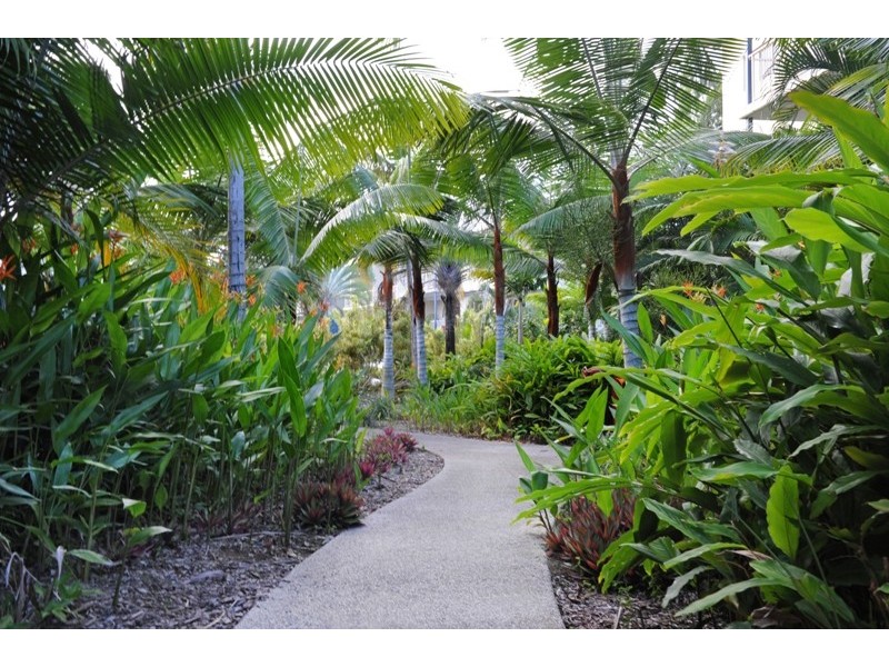 23/21 Shute Harbour Road, Cannonvale QLD 4802