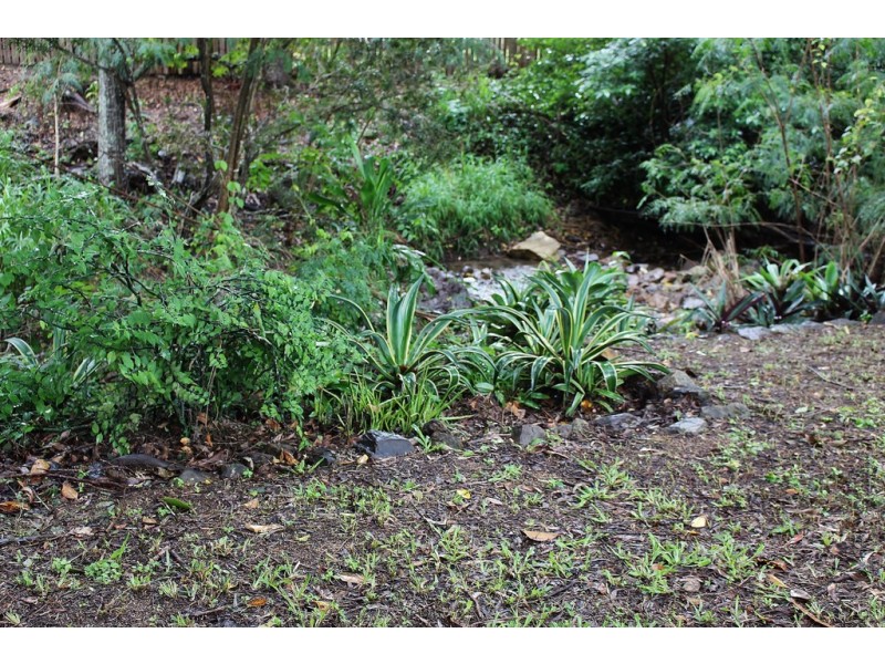 1 Cateran Close, Cannonvale QLD 4802