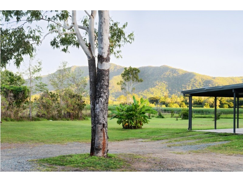44 Turner Road, Riordanvale QLD 4800