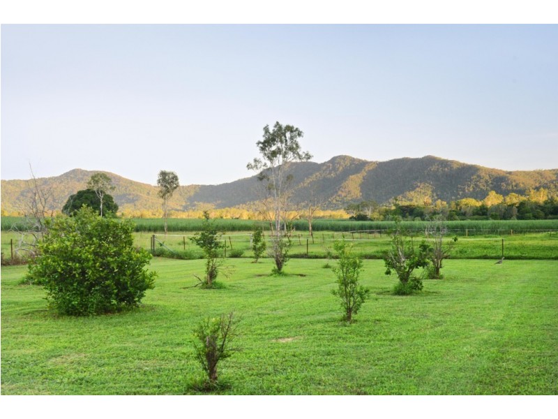 44 Turner Road, Riordanvale QLD 4800