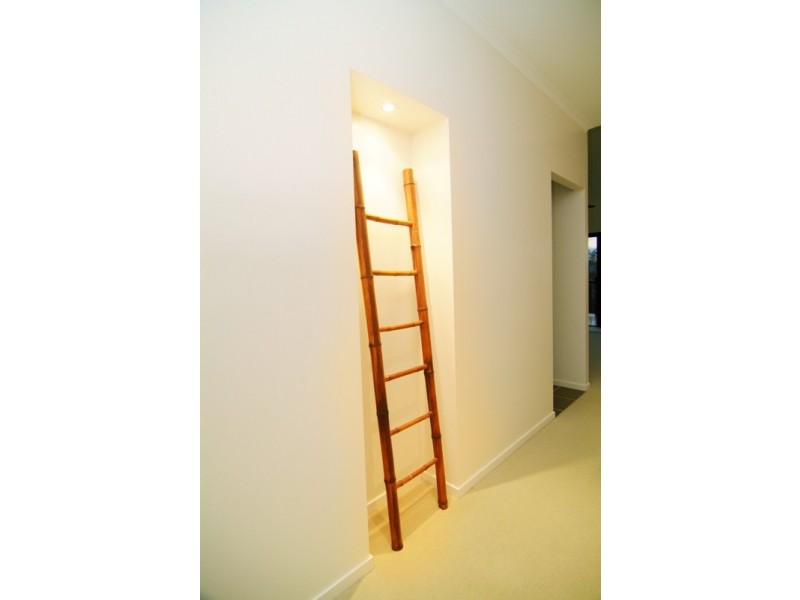 38 Eshelby Drive, Cannonvale QLD 4802