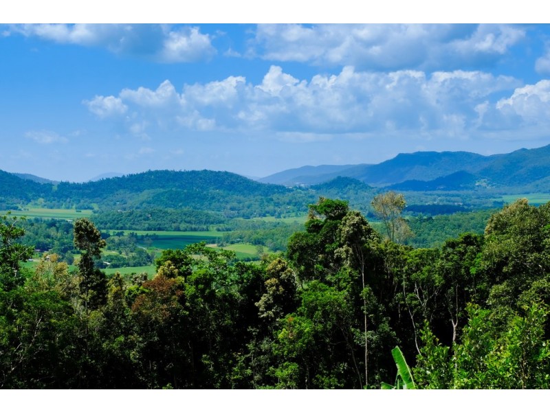 187 Camille Drive, Strathdickie QLD 4800