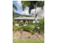 9 Links Drive, Cannonvale QLD 4802