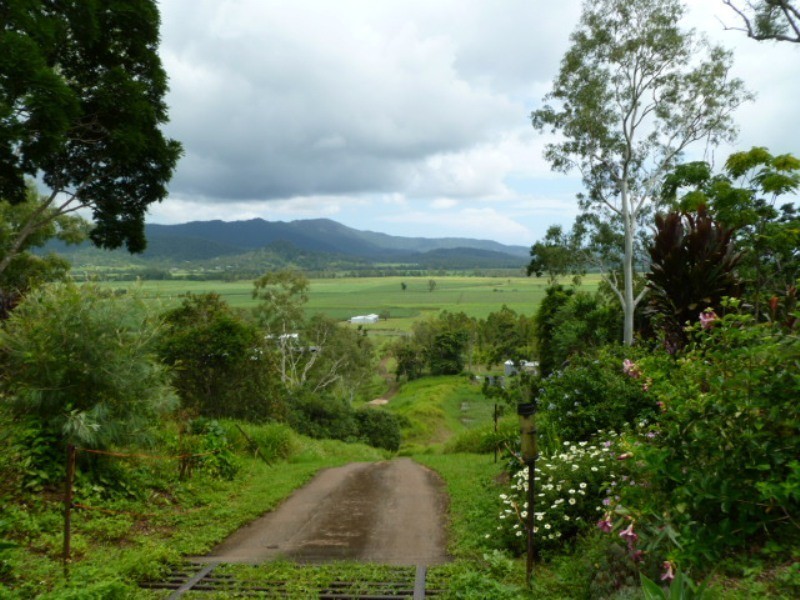 1016 Shute Harbour Road, Mount Marlow QLD 4800