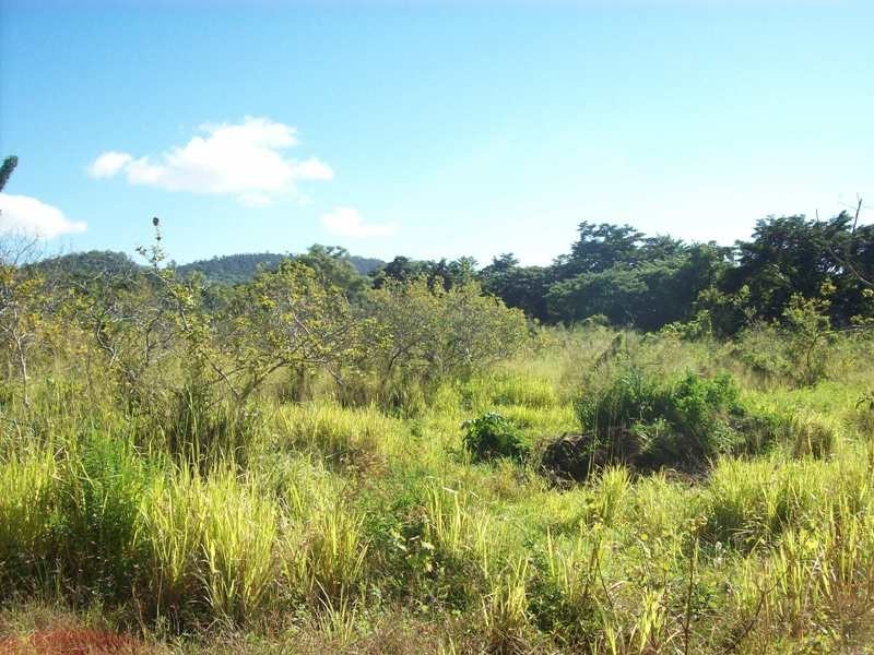 Lot 1 Paluma Road, Cannonvale QLD 4802