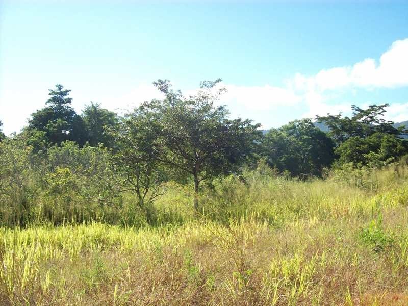 Lot 1 Paluma Road, Cannonvale QLD 4802