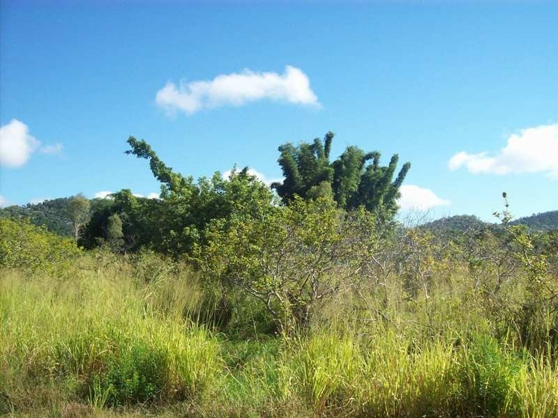 Lot 1 Paluma Road, Cannonvale QLD 4802