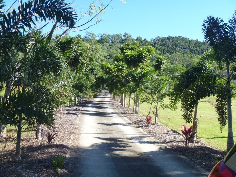185 Paluma Road, Cannonvale QLD 4802