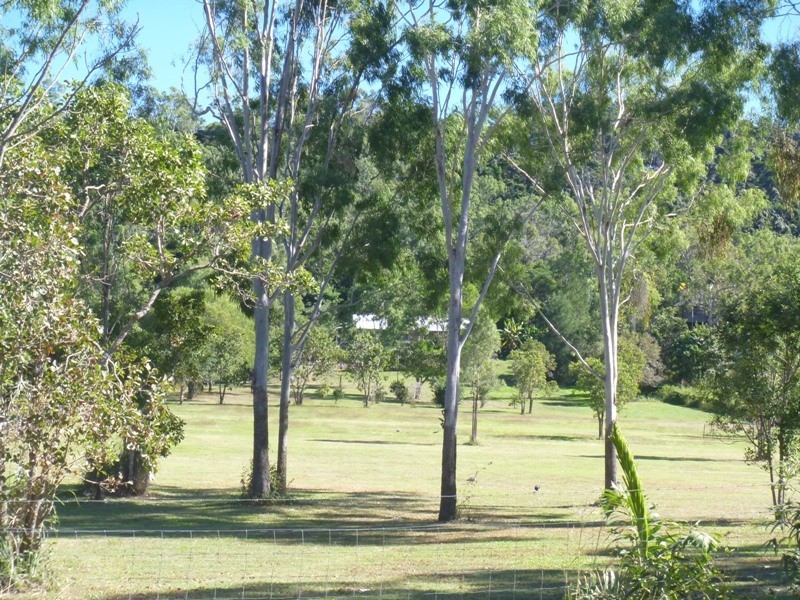 185 Paluma Road, Cannonvale QLD 4802