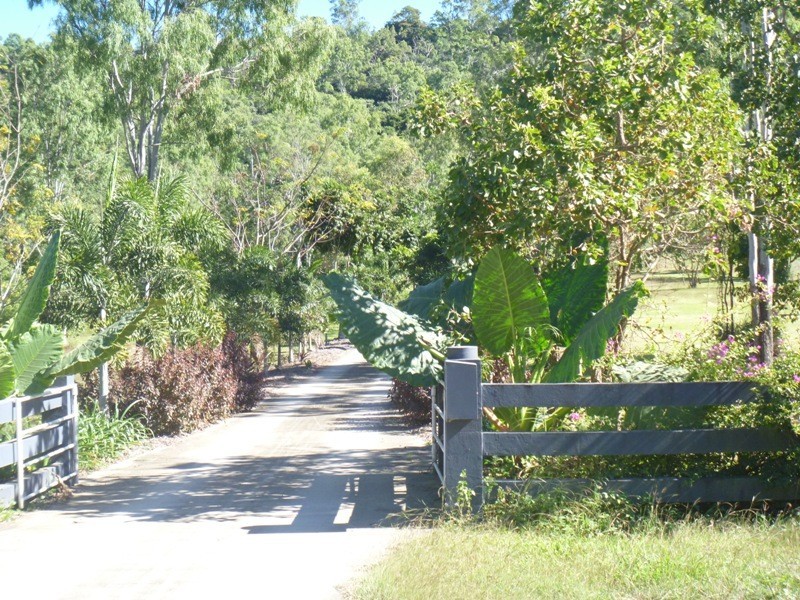 185 Paluma Road, Cannonvale QLD 4802