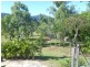 185 Paluma Road, Cannonvale QLD 4802