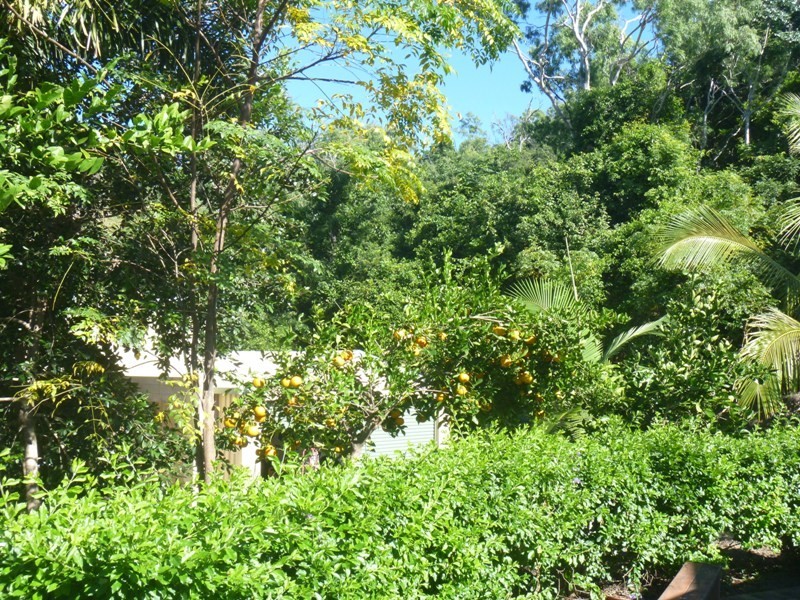 185 Paluma Road, Cannonvale QLD 4802