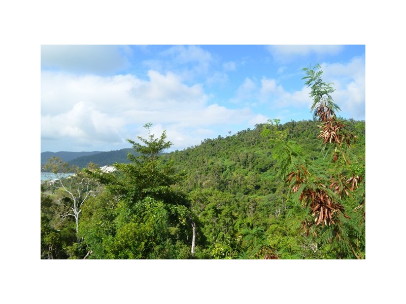 Lot 35 Cumberland Court, Airlie Beach QLD 4802