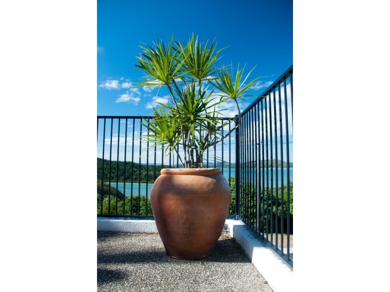 10 Passage Avenue, Shute Harbour QLD 4802