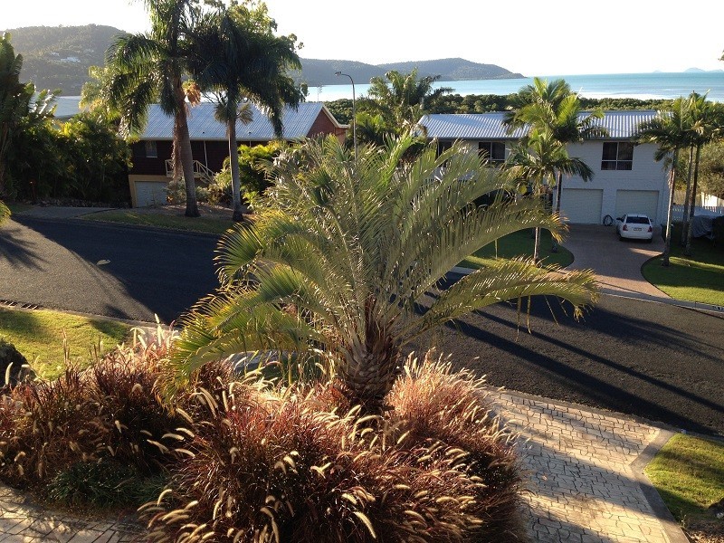 42 Macarthur Drive, Cannonvale QLD 4802