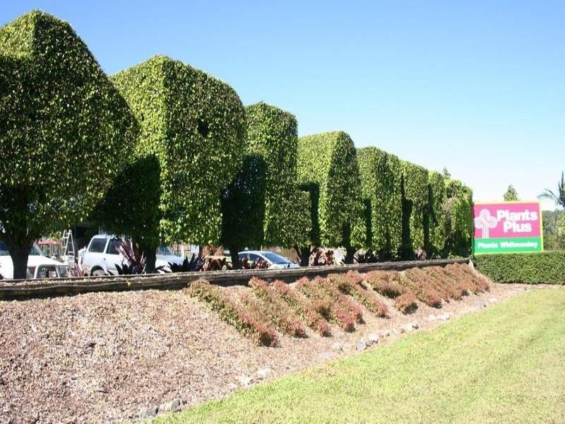 1464 Shute Harbour Road, Cannonvale QLD 4802