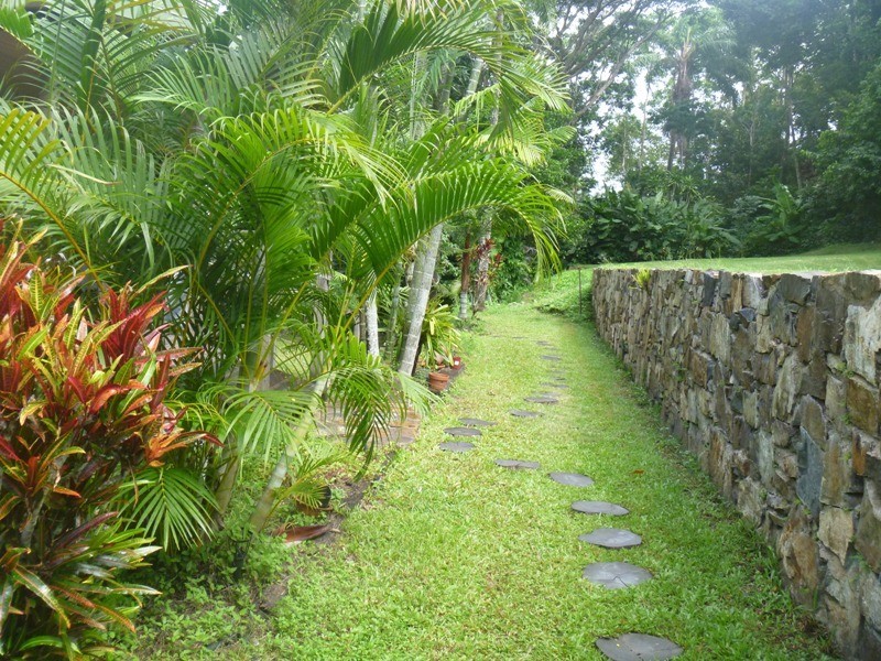 127 Conway Road, Conway QLD 4800