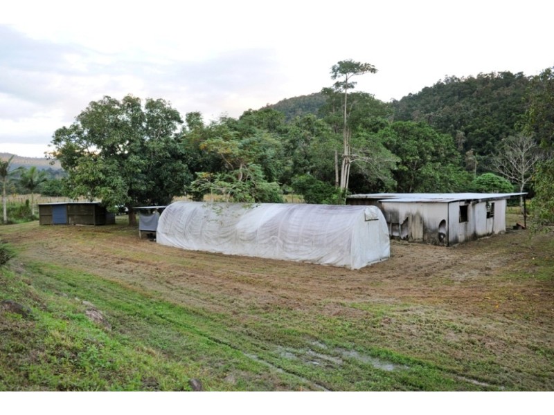 287 Patullo Road, North Gregory QLD 4800