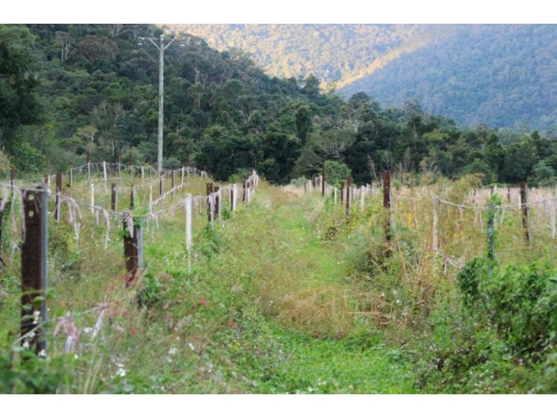 287 Patullo Road, North Gregory QLD 4800