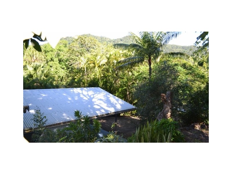 133 Orchid Road, Cannon Valley QLD 4800