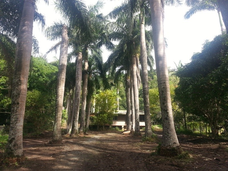 163 Camm Road, Mount Julian QLD 4800