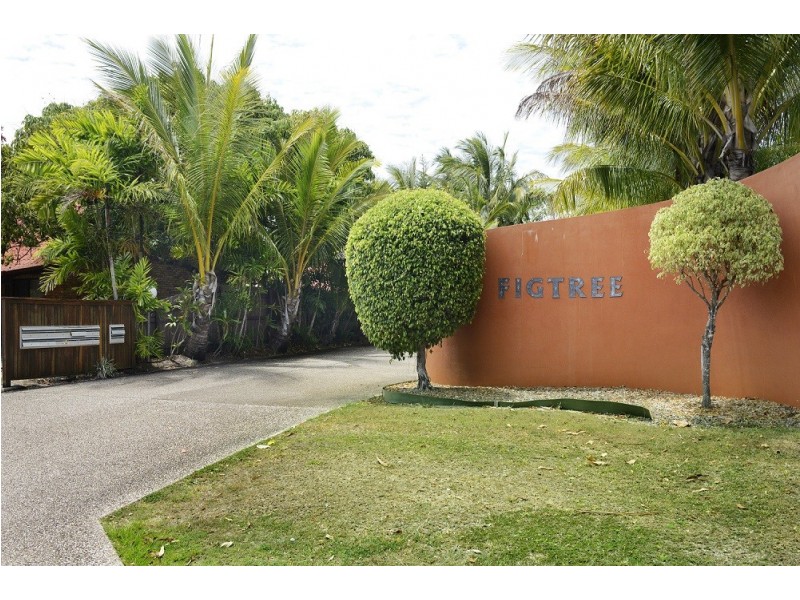 9/11 Maeva Street, Jubilee Pocket QLD 4802