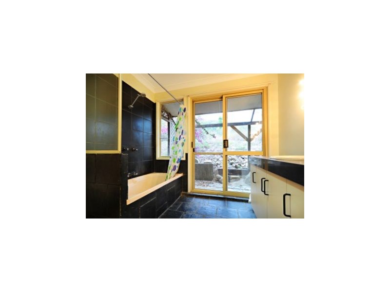 256 Paluma Road, Cannonvale QLD 4802