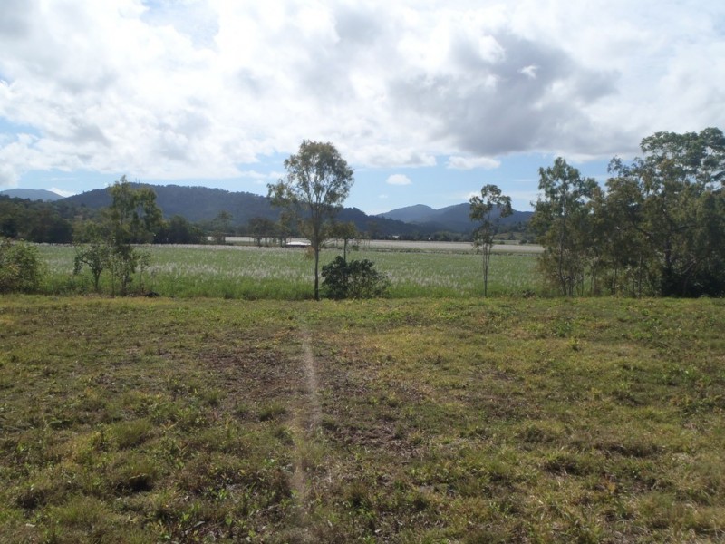 12 Camille Drive, Strathdickie QLD 4800