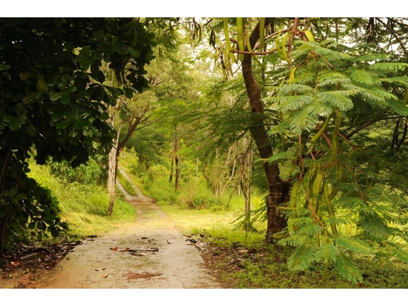 233 Paluma Road, Cannonvale QLD 4802