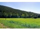 Lot 11 Jasinique Drive, Jubilee Pocket QLD 4802