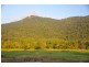 22 Parker Road, Cannonvale QLD 4802