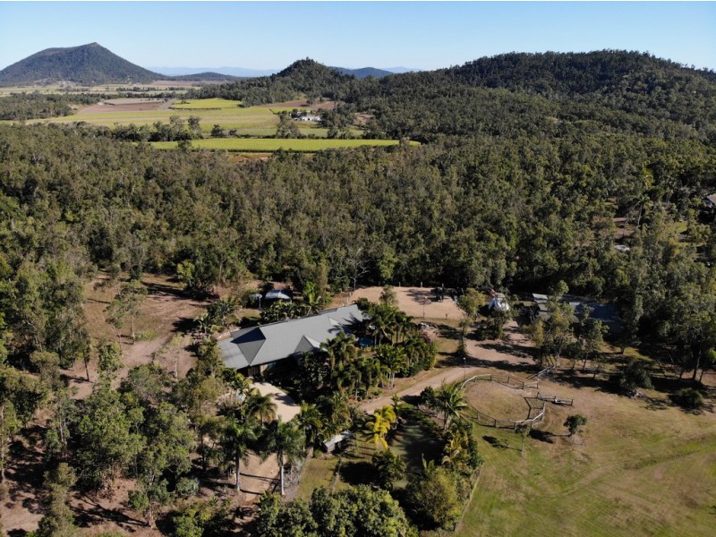 52 Holloway Drive, Sugarloaf QLD 4800