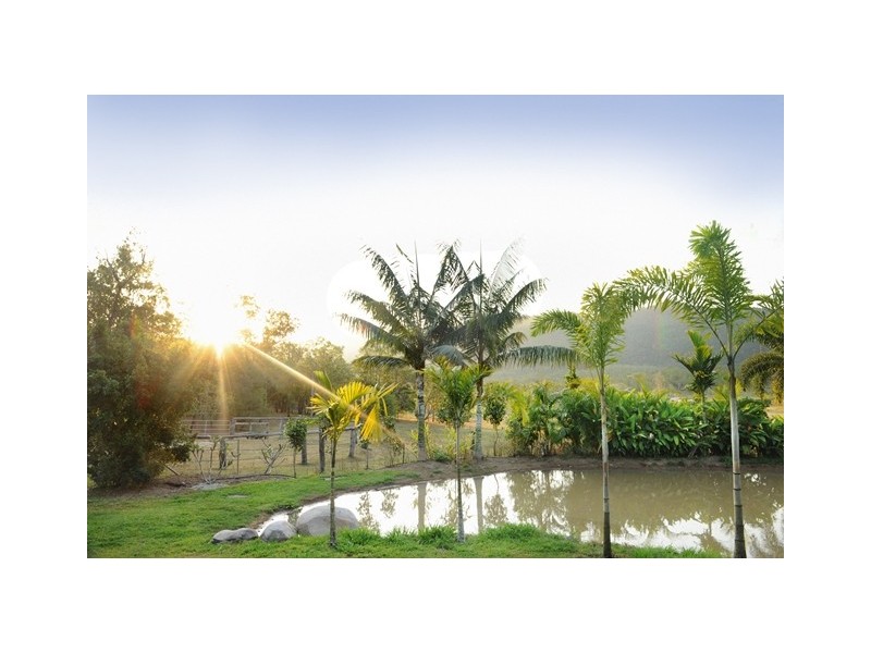 52 Holloway Drive, Sugarloaf QLD 4800