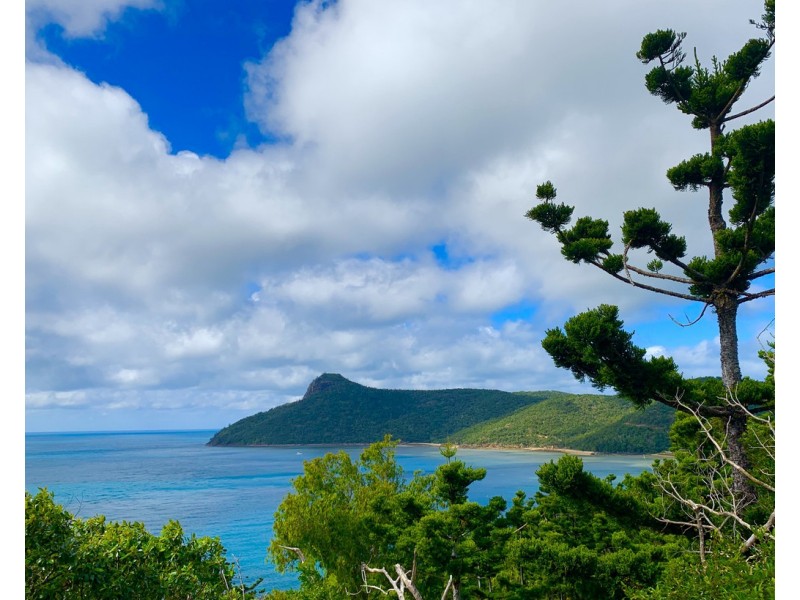 HV Melaleuca Drive, Hamilton Island QLD 4803