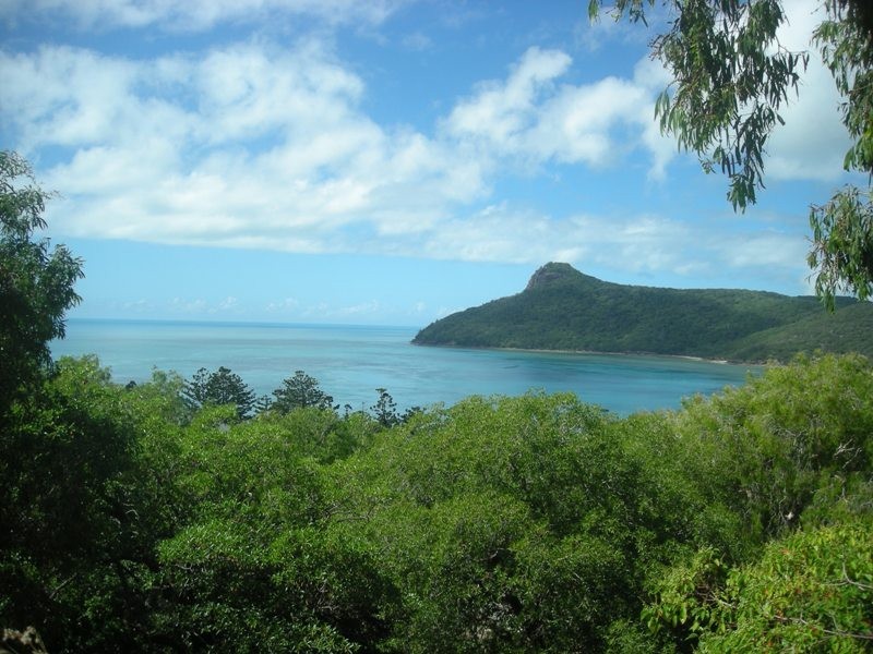 HV Melaleuca Drive, Hamilton Island QLD 4803