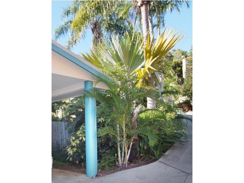 1/5 Eshelby Drive, Cannonvale QLD 4802