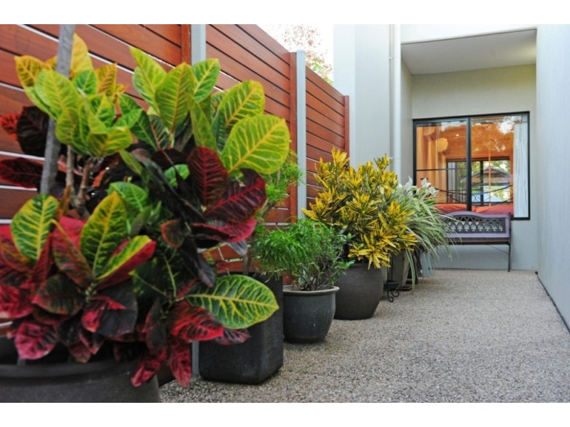 64 Abell Road, Cannonvale QLD 4802