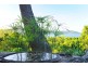 58 Ridgeview Road, Cannonvale QLD 4802