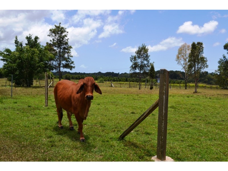 43 Smethurst Road, Mount Julian QLD 4800