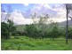 61 Black Road, Riordanvale QLD 4800
