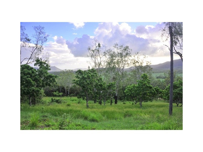 61 Black Road, Riordanvale QLD 4800